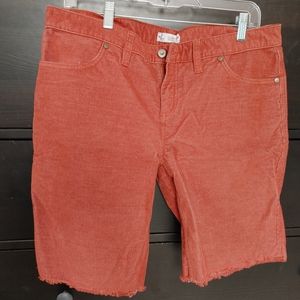 Surfer shorts minus the sand